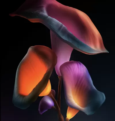 Experimental